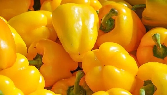 pimentão amarelo_alimentos mais ricos em vitamina c