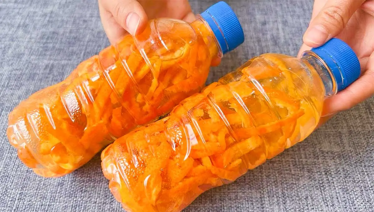 Não jogue as cascas de laranja fora! Coloque num frasco com vinagre e veja as maravilhas que pode fazer!