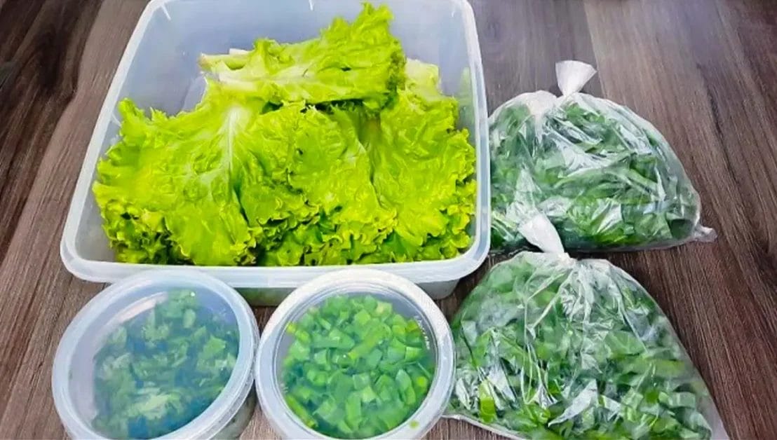 Como conservar verduras sem murchar