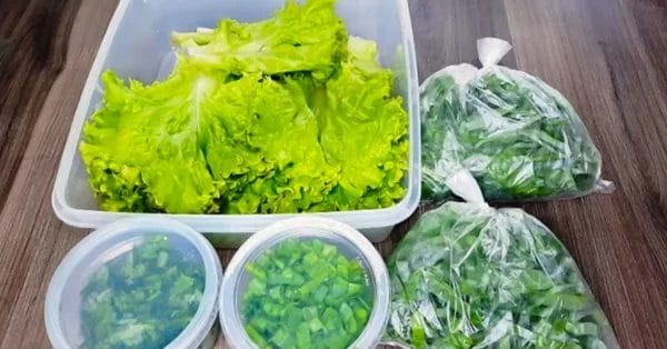 Como conservar verduras sem murchar