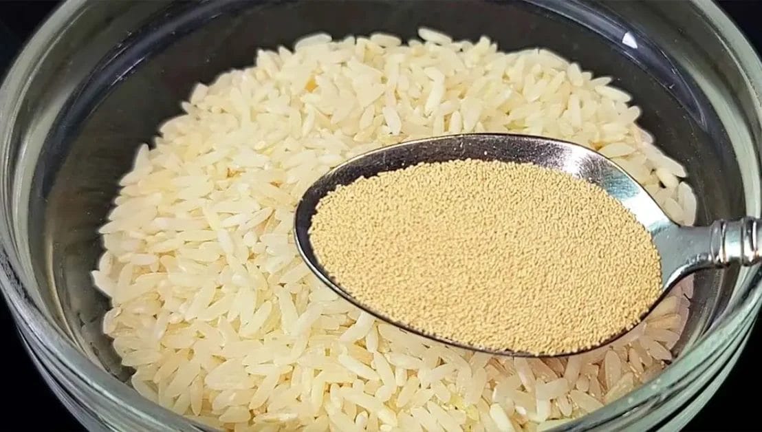 Misture fermento no arroz