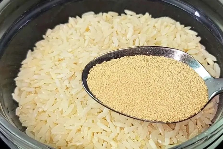 Misture fermento no arroz